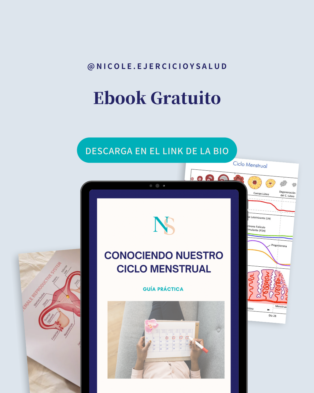 Ciclo menstrual